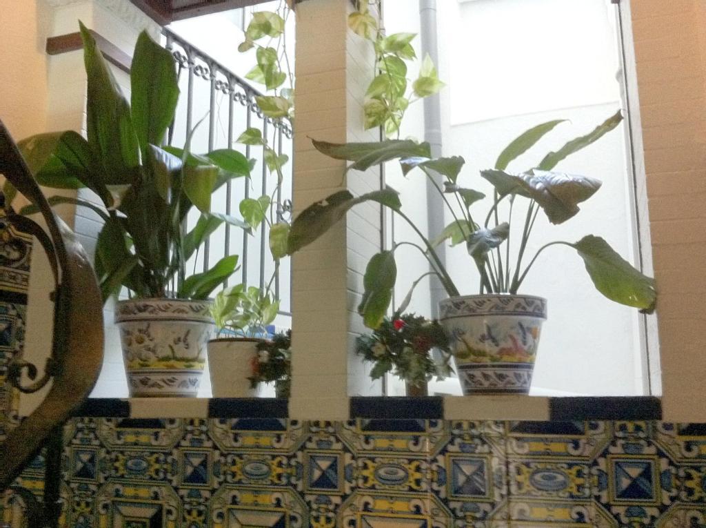 Giraldilla Otel Sevilla Dış mekan fotoğraf