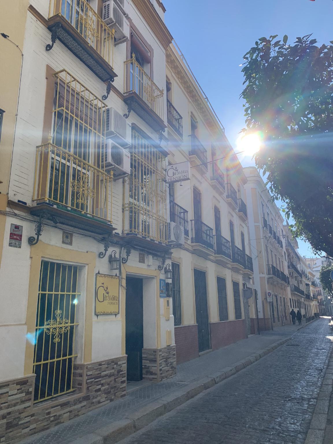 Giraldilla Otel Sevilla Dış mekan fotoğraf